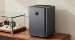 safe dehumidifier for valuables