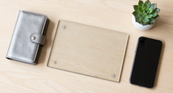 Glasspane: When Transparency Itself Becomes the Product
