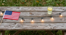 11 Best Patriotic Outdoor String Lights in 2026