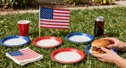 14 Best Patriotic Outdoor Party Supplies in 2026